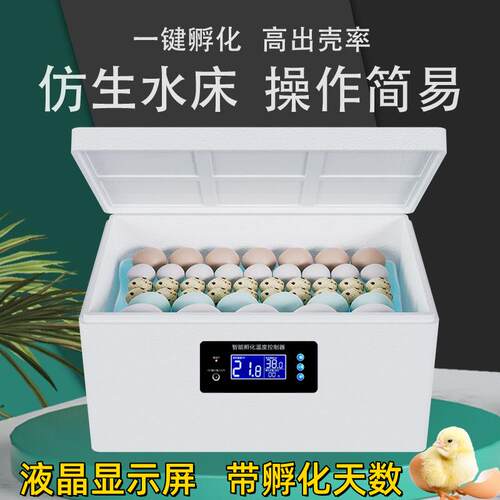 家用小型恒温水床孵化箱