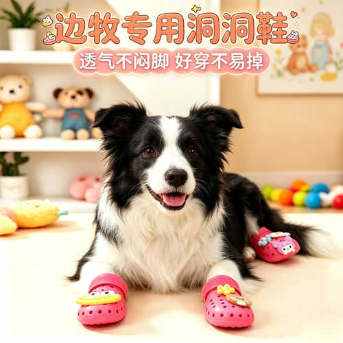 边牧专用幼犬狗狗凉鞋小狗鞋子夏透气宠物狗鞋夏季洞洞鞋易穿不掉