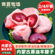 新鲜原油羊腰子羊肾烧烤食材冷冻红腰子家用商用清真顺丰内蒙古