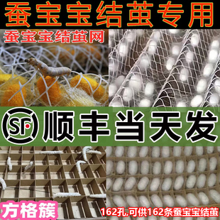 【顺丰当天发】蚕结茧网吐丝盒方格簇养蚕专用的架子蚕宝宝结茧网