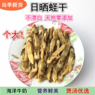 蛏干海产干货500g新鲜日晒有沙水产海蛏子竹节蛏干度好个大特产