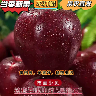 甘肃天水花牛苹果10斤新鲜水果丑果整箱 粉面老人孕妇小孩刮泥 包邮