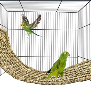 植物编织软床吊床蜥蜴鬃狮松狮树蛙爬虫休息攀爬植物床爬宠