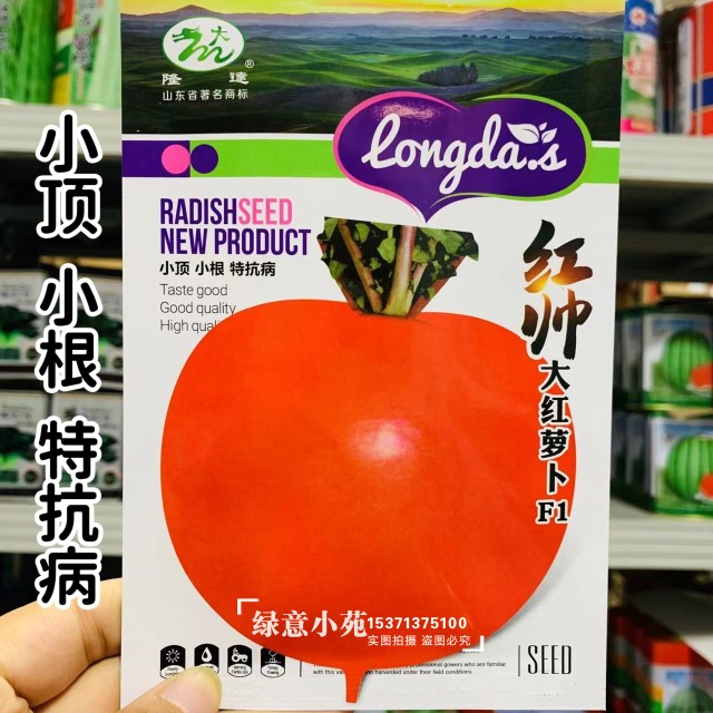 隆达红帅大红萝卜种籽秋季优质萝卜种孑小顶花叶小根特抗病萝卜种