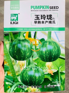 卡其玉玲珑早熟串玲南瓜种子春秋一串铃南瓜种籽表皮深绿色瓜码密