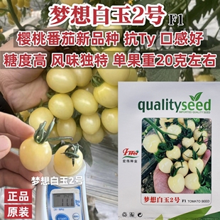 宏伟梦想白玉2号番茄种子抗Ty樱桃番茄种子春秋冬白色小番茄种籽