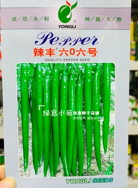 辣丰606号辣椒种孑深绿色线椒种子三号椒种籽早熟高产顺直条椒种