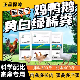 禽用肠道肠安宁鸡鸭鹅鹌鹑鸽猪牛兔饲料添加剂黄白绿稀不成形正品