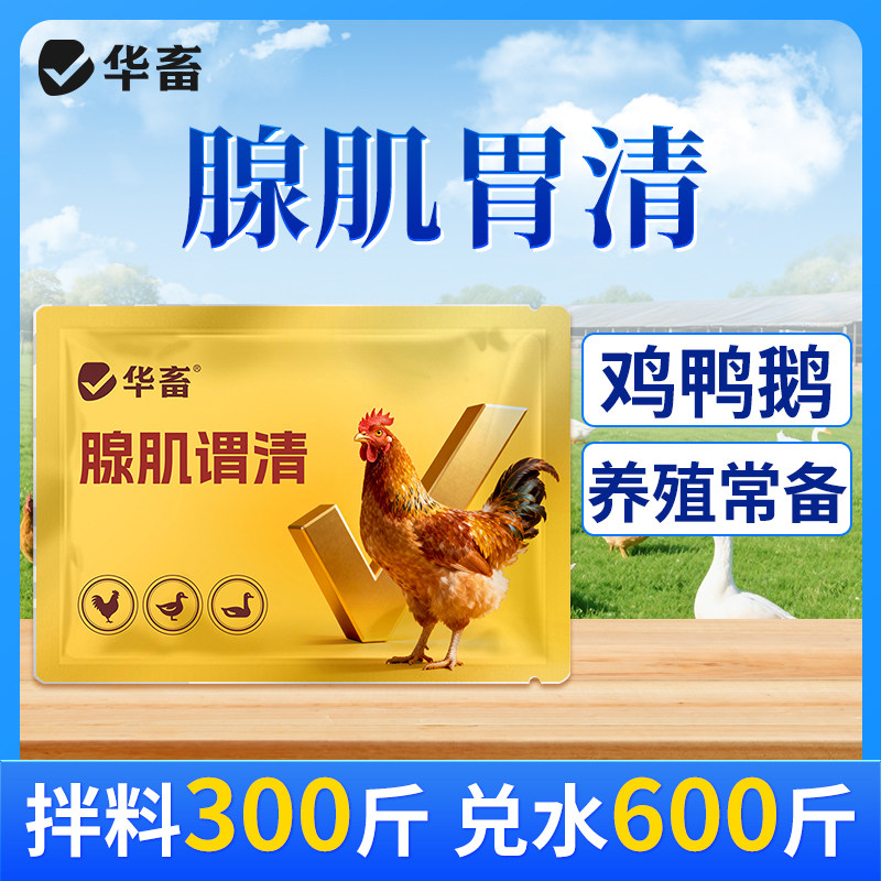 腺肌谓清护胃黏膜调节肠道芽孢杆图片
