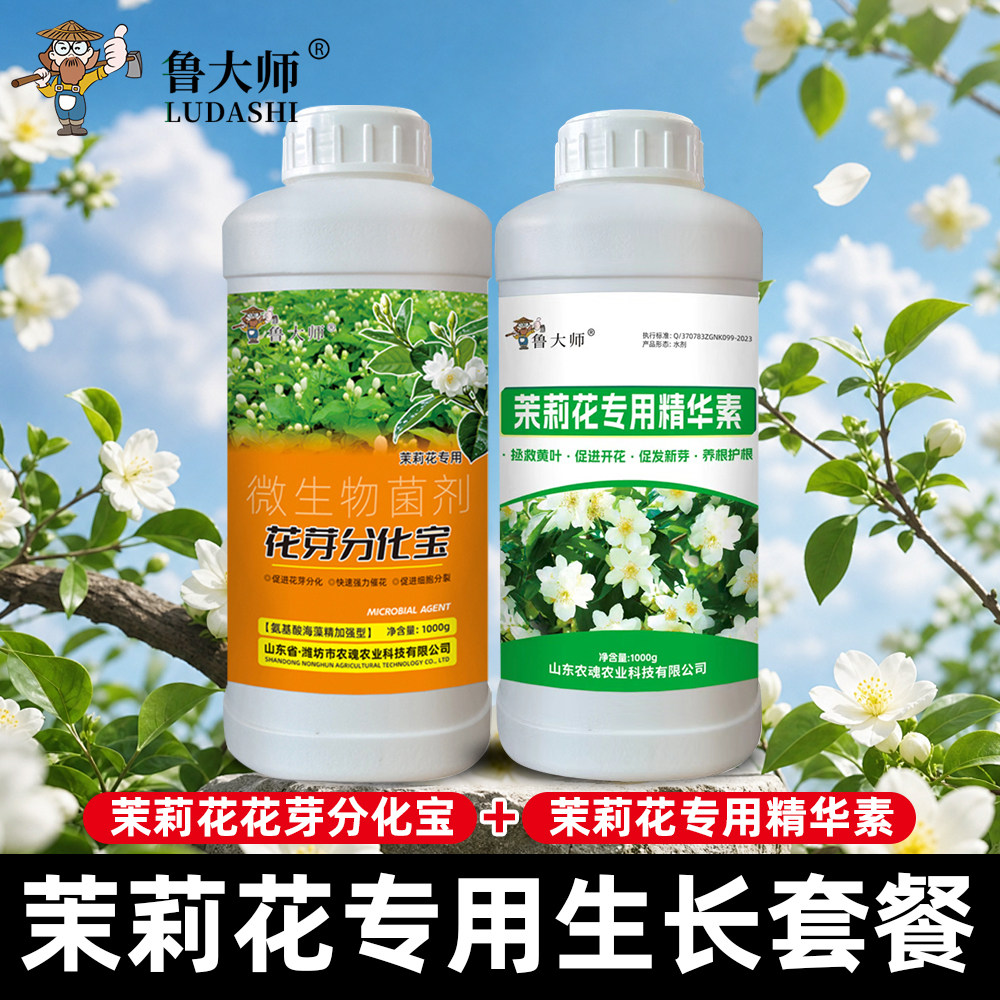 茉莉花芽分化宝茉莉花精华素套餐