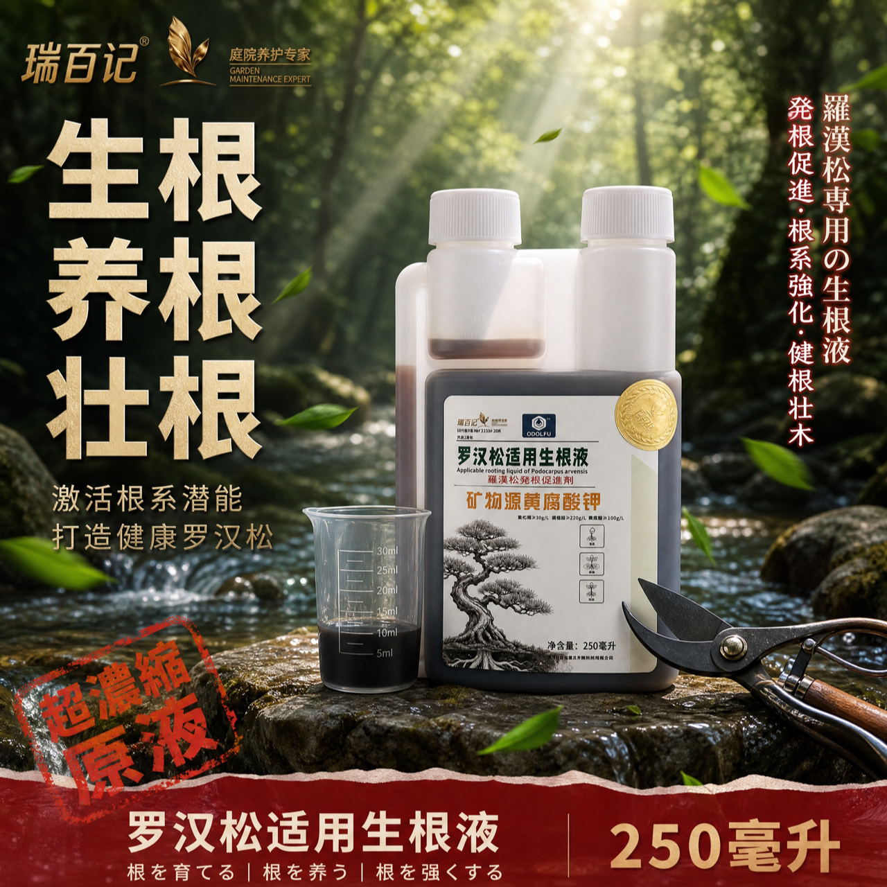 瑞百记罗汉松生根液生根养根