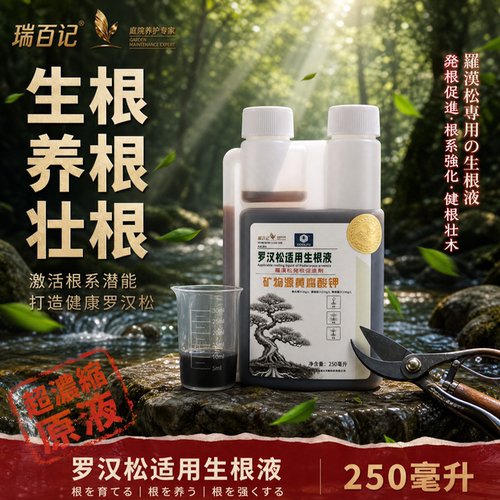 瑞百记罗汉松生根液生根养根