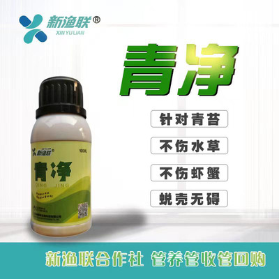新渔联青苔青苔净青净