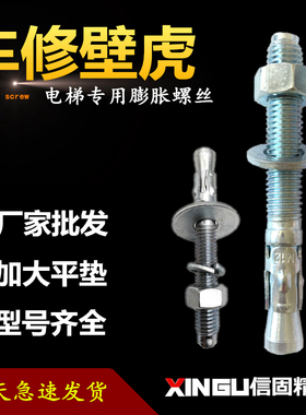 国标镀锌车修壁虎膨胀螺丝大平垫电梯专用膨胀螺栓M8M10M12M16M20