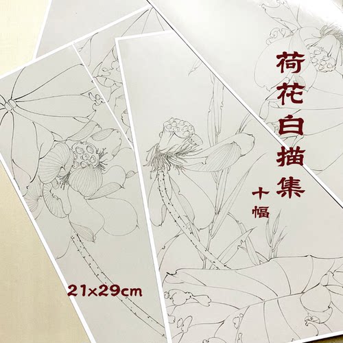 懿文房原创荷花白描画集线稿国画白描稿铜版纸款尺寸21x29cm