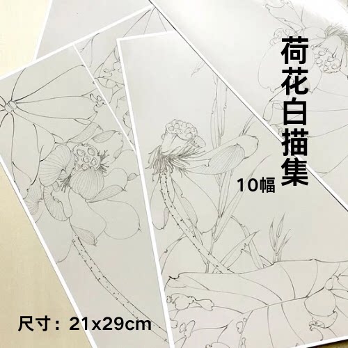 懿文房原创荷花白描画集线稿国画白描稿铜版纸款尺寸21x29cm