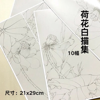 懿文房原创荷花白描画集线稿国画白描稿铜版纸款尺寸21x29cm