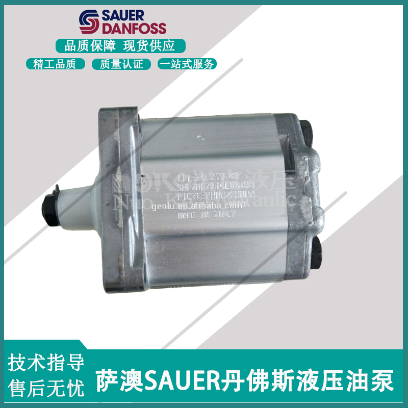 新款萨澳SAUER DANFOSS齿轮泵SNP2NN/4.0/6.0/8.0/014/017RN0包邮