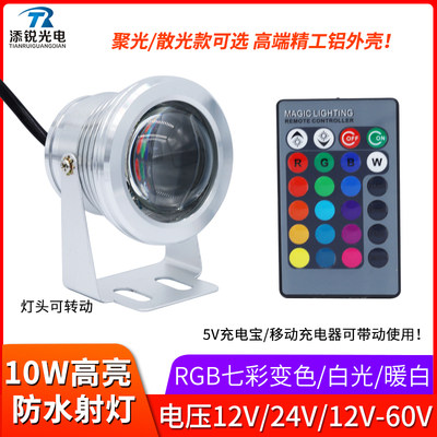 10W超亮防水RGB射灯12v24v60v