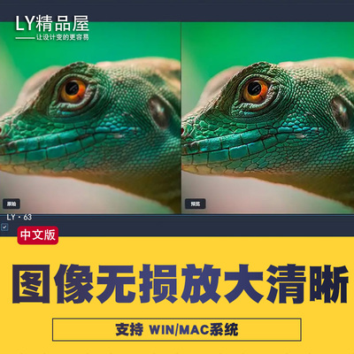 提高模糊照片图片清晰度提升还原处理证件照修改尺寸像素无损放大