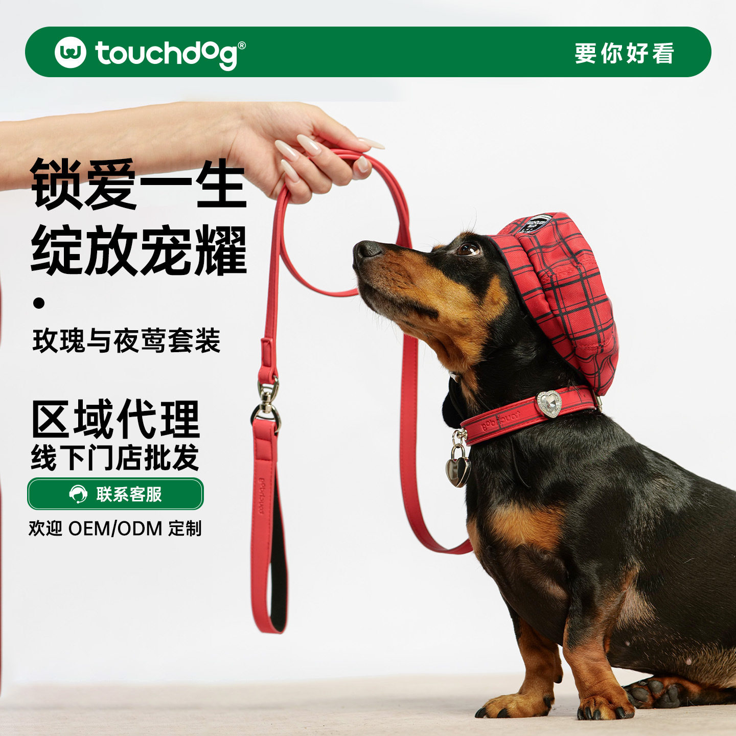 Touchdog它它狗狗牵引绳项圈脖圈宠物帽狗领结大中小型犬遛狗绳子