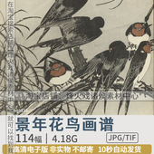 景年花鸟画谱今尾景年喜鹊国画工笔画高清图片电子版 学习参考素材