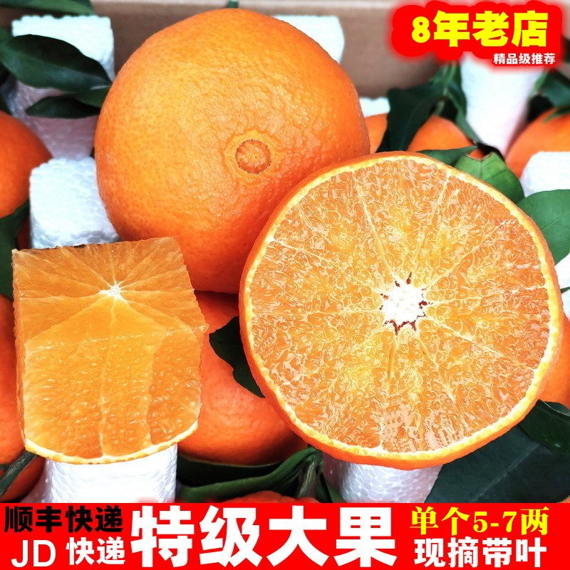 爱媛38果冻橙现摘10斤特级大果新鲜水果橙子礼盒红美人丹棱怎么样,好用不?