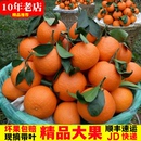顺丰四川爱媛果冻橙38爱媛橙手剥橙子大果新鲜水果柑橘红美人特产