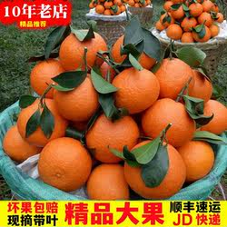 顺丰四川爱媛果冻橙38爱媛橙手剥橙子大果新鲜水果柑橘红美人特产