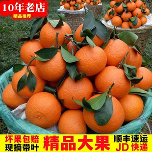 顺丰四川爱媛果冻橙38爱媛橙手剥橙子大果新鲜水果柑橘红美人特产