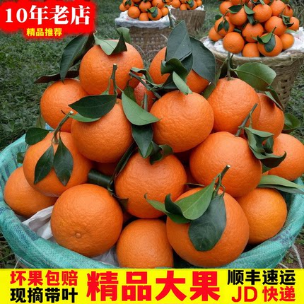 顺丰四川爱媛果冻橙38爱媛橙手剥橙子大果新鲜水果柑橘红美人特产