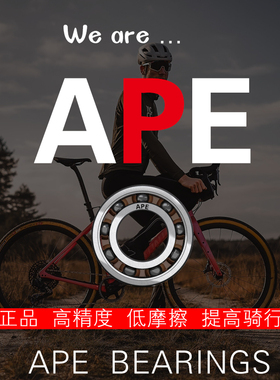 APE进口自行车花鼓轴承15267 15268 17287 16287 18307-2RS公路车