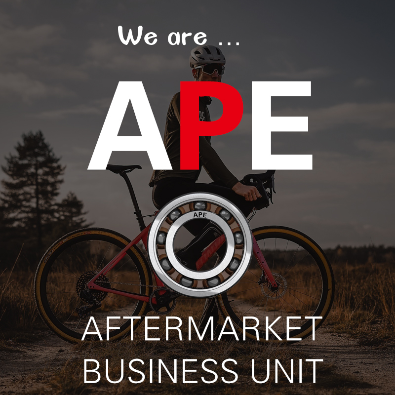 正品APE轴承B70中用不锈钢