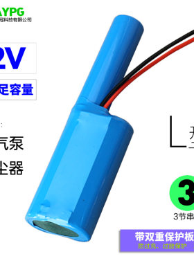 12V充气泵吸尘器大功率电池