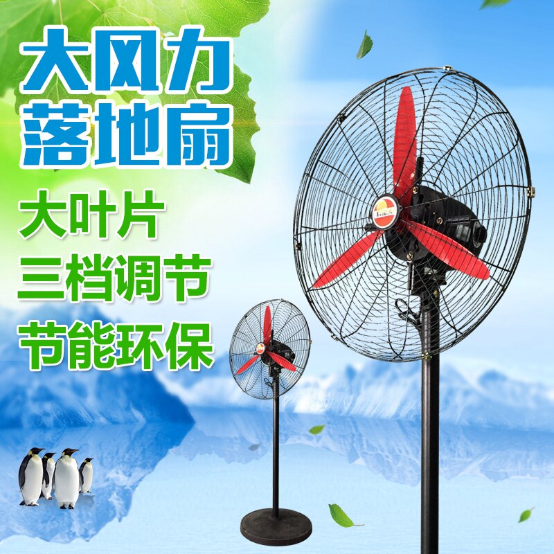 Xiang Yang electric fan Covey Shaking head to ground Fanin the Electrical life , Fan  category - from Buy2taobao.com to provide professional Taobao agent buy service