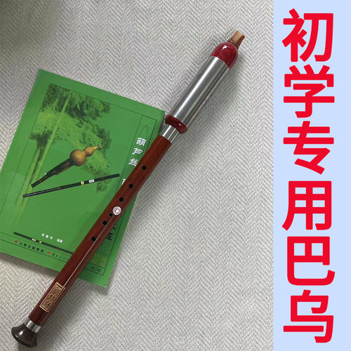 沁竹轩巴乌bgf初学入门演奏