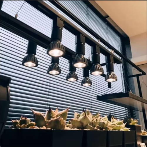 全光谱植物补光灯LED绿植墙生长灯室内热植块根鹿角蕨二线轨道灯