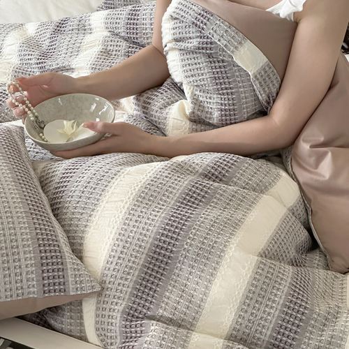 2026新款全棉纯棉色织简约风艾阳绒抗菌被子被芯春秋被加厚冬被3