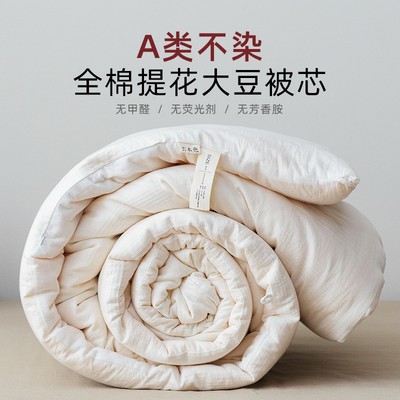 臣汐空调被纯棉四季通用