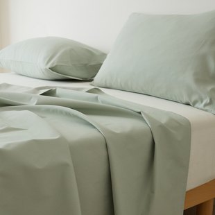 50S双股纯棉磨毛冬季 保暖全棉床笠单件床垫保护套防尘防滑床罩1.8