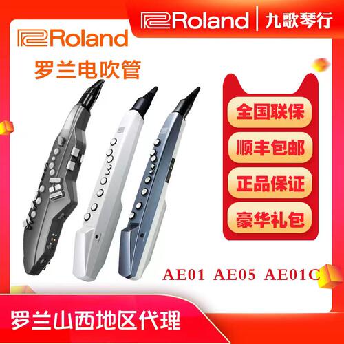 罗兰AE01电吹管西洋民乐吹管
