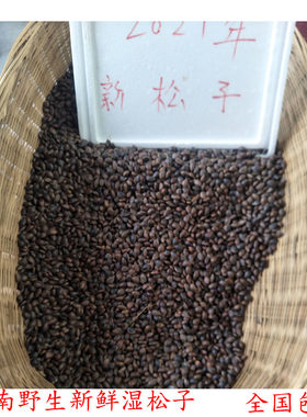 云南野生新鲜生黑剥原味包邮