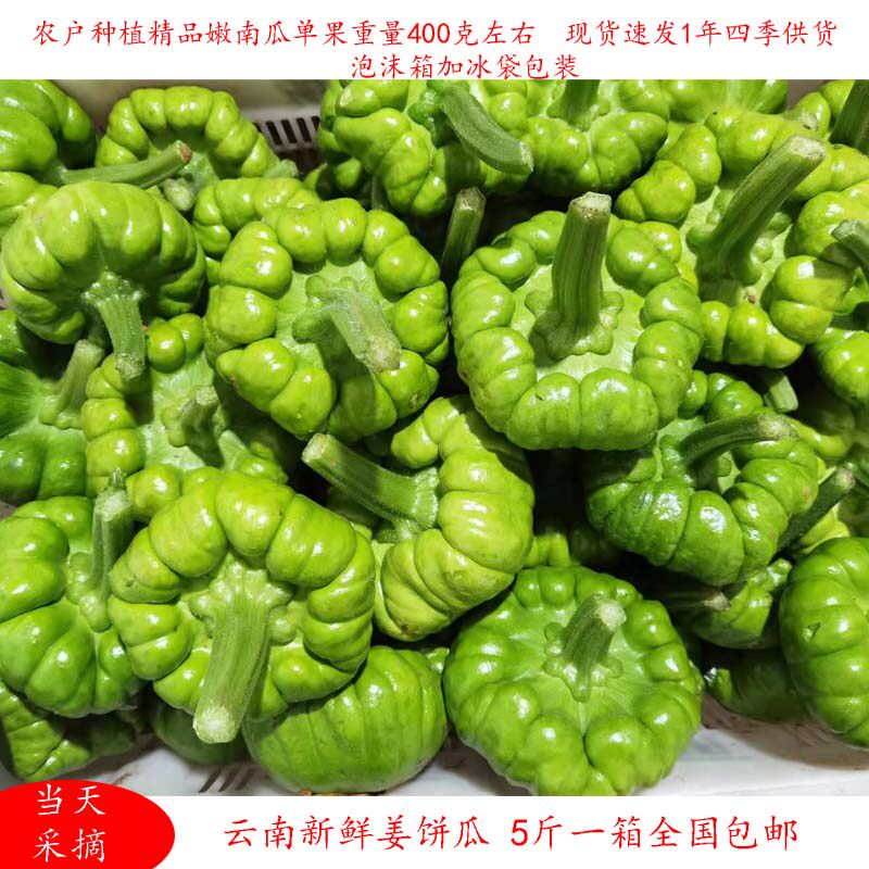 南瓜姜饼瓜云南特产新鲜蔬菜姜饼瓜嫩南瓜食用农产品小面瓜产地