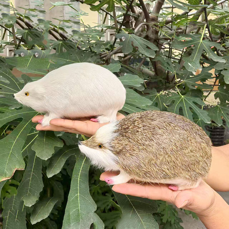 一比一仿真刺猬模型摆件儿童认知教学动物道具家居摆件装饰品标本