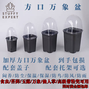 加厚方口万象盆闷养盖方形磨砂花盆高腰盆多肉植物塑料花盆老桩盆