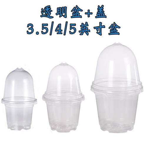全透明花盆带盖子组合盆保温保湿
