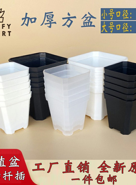 小黑方加厚花盆白透八角多肉塑料特厚盆正方形扦插育苗叶插闷养盆