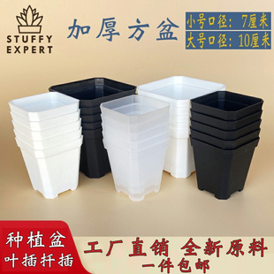 小黑方加厚花盆白透八角多肉塑料特厚盆正方形扦插育苗叶插闷养盆