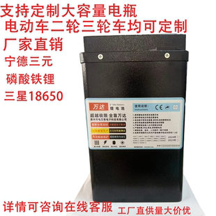 二轮三轮电动车锂电池支持定制48v60v72v磷酸铁锂大单体模块电芯