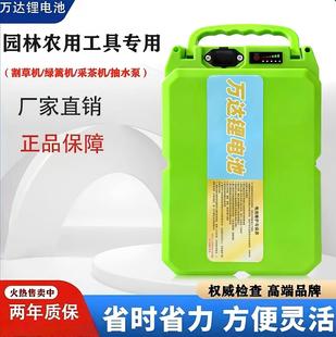 锂电池24v48V割草机剪枝采茶机抽水泵60v园林工具通用背负式 电瓶